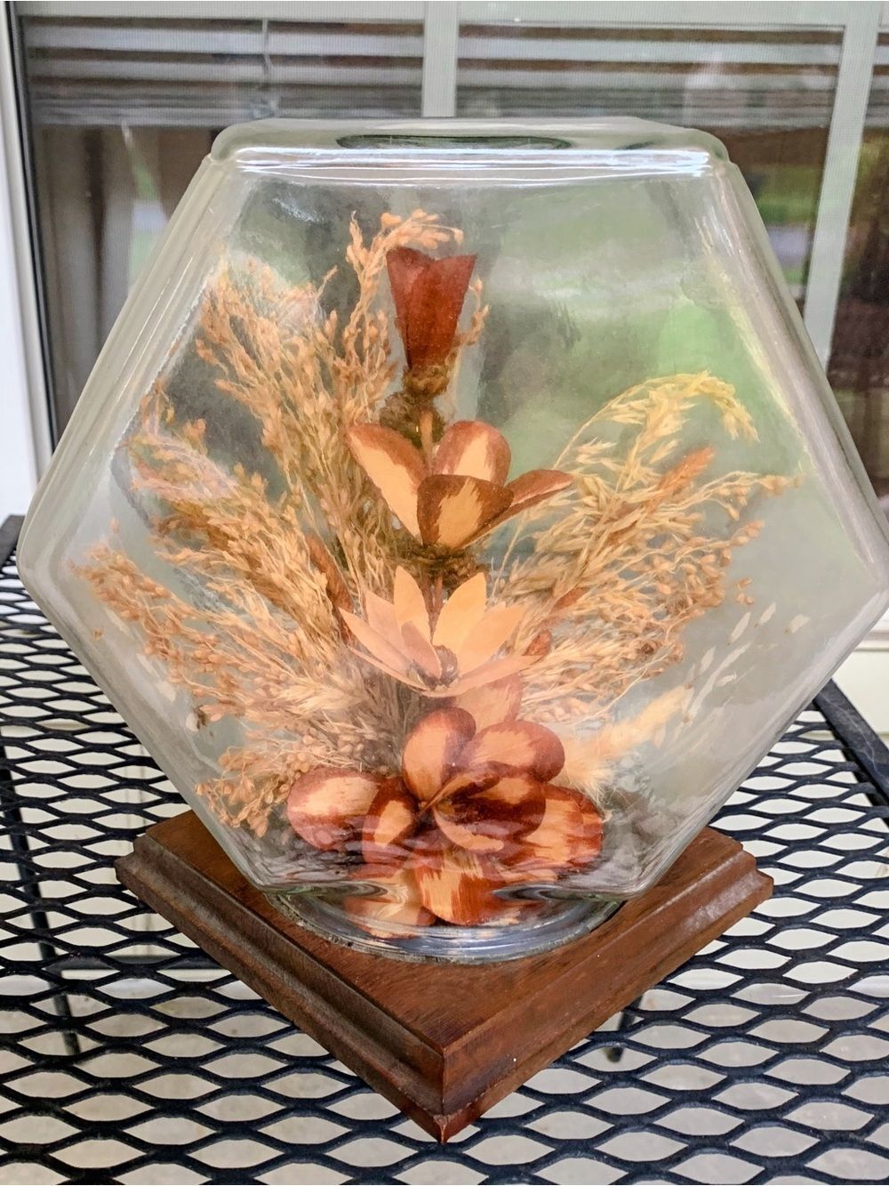 Vintage MCM Dried Botanical Terrarium Display